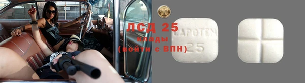 прущие грибы Бугульма