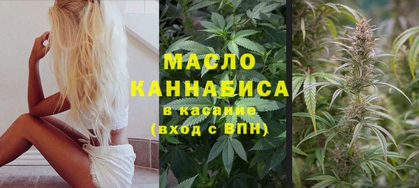 прущие грибы Бугульма