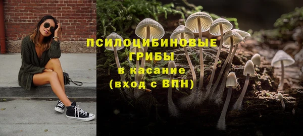 экстази Богданович