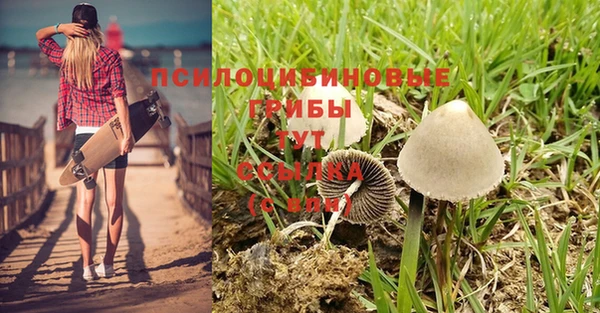 mdma Бронницы