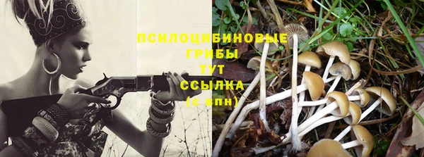 прущие грибы Бугульма