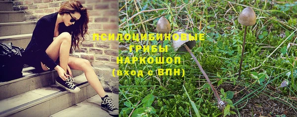 не бодяженный Бородино