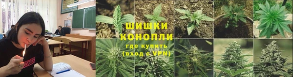 экстази Богданович